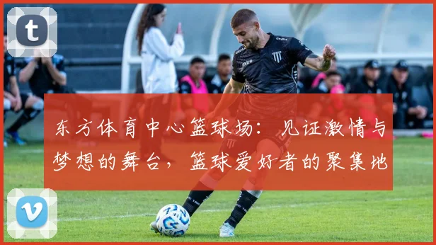 东方体育中心篮球场：见证激情与梦想的舞台，篮球爱好者的聚集地