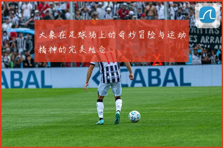 大象在足球场上的奇妙冒险与运动精神的完美结合