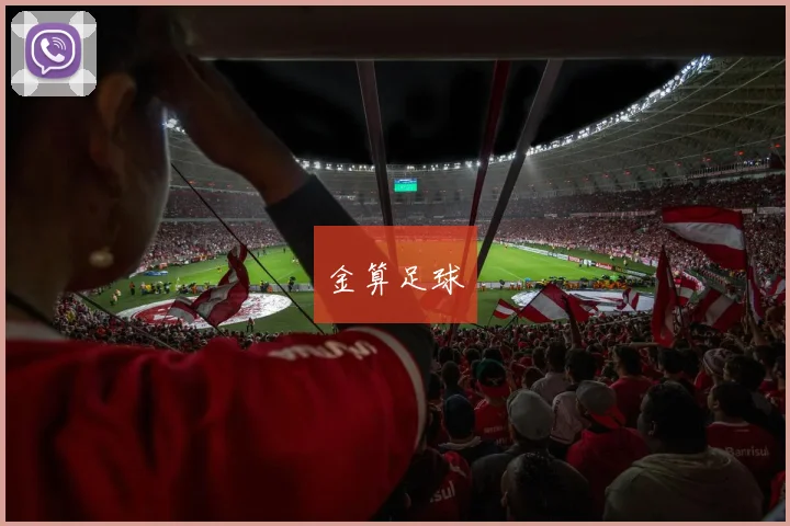 金算足球