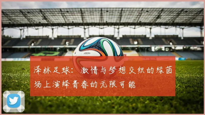 泽林足球：激情与梦想交织的绿茵场上演绎青春的无限可能